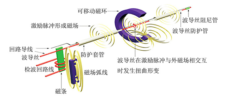 磁致伸缩位移传感器工作原理示意图